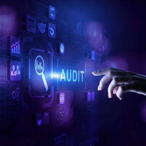 Penetration Testing & Cybersecurity Audit (per hour)