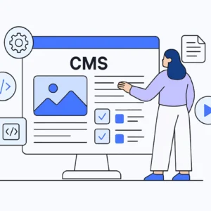 Custom Content Management System (CMS) (per hour)